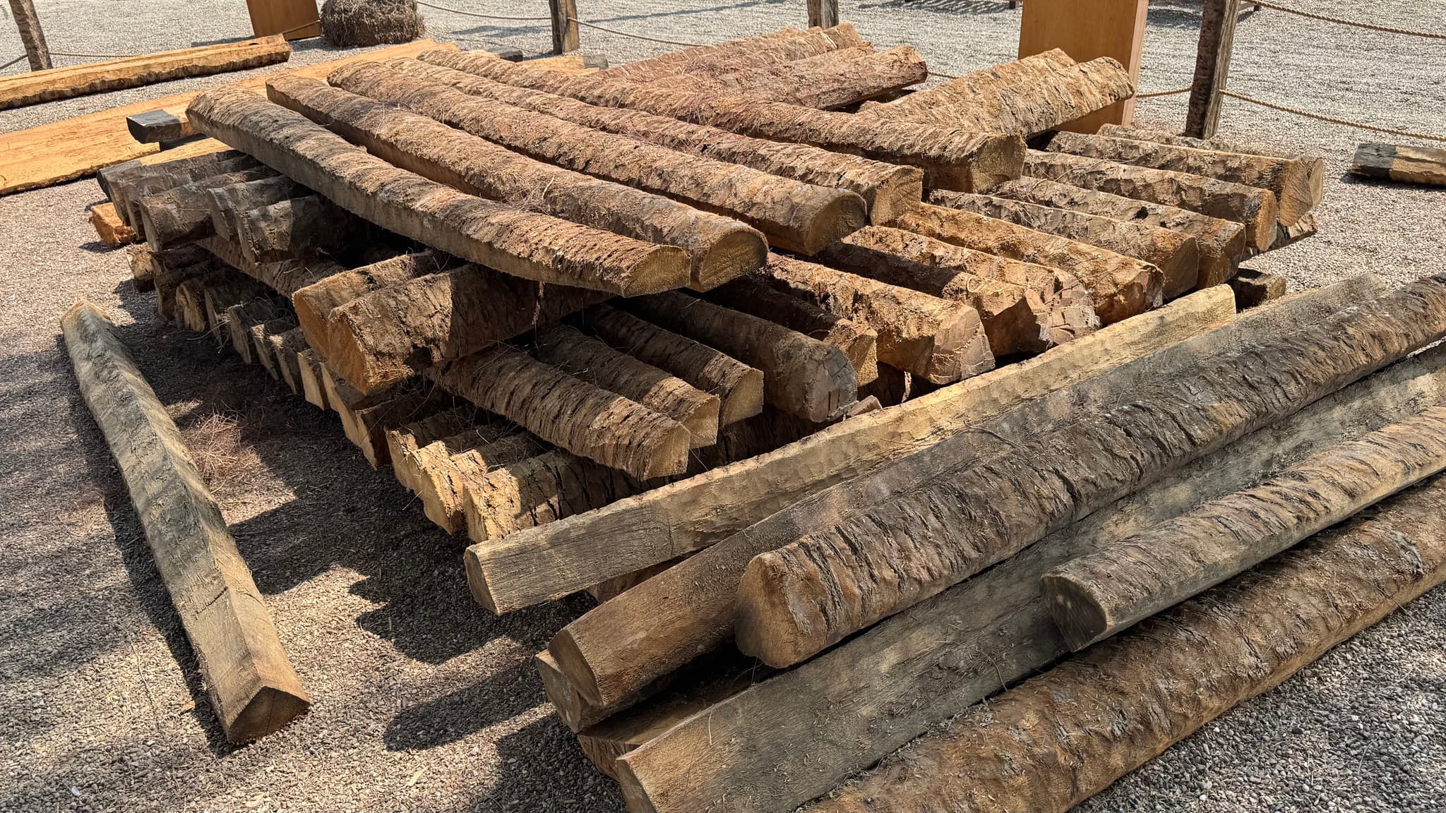 Palm Wood Beams